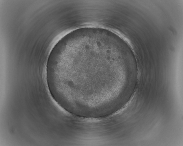 X0000113021239200909241628