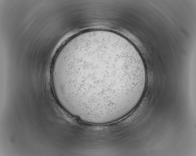 X0000113021240200909241628