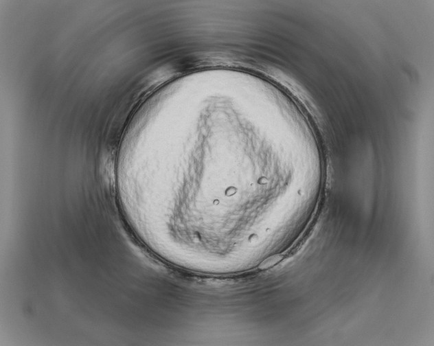 X0000113021241200909241628