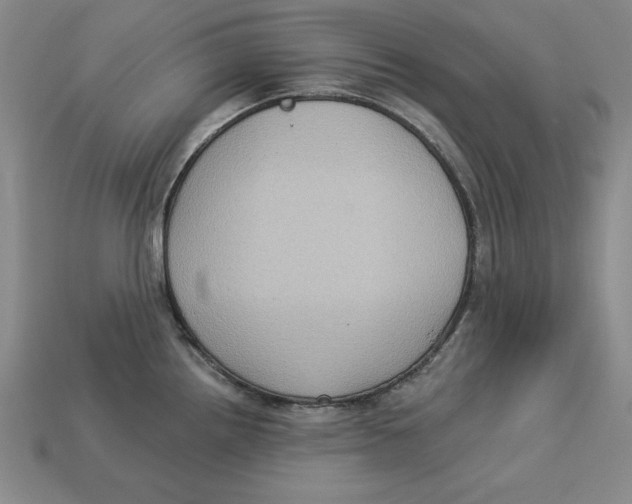 X0000113021242200909241628