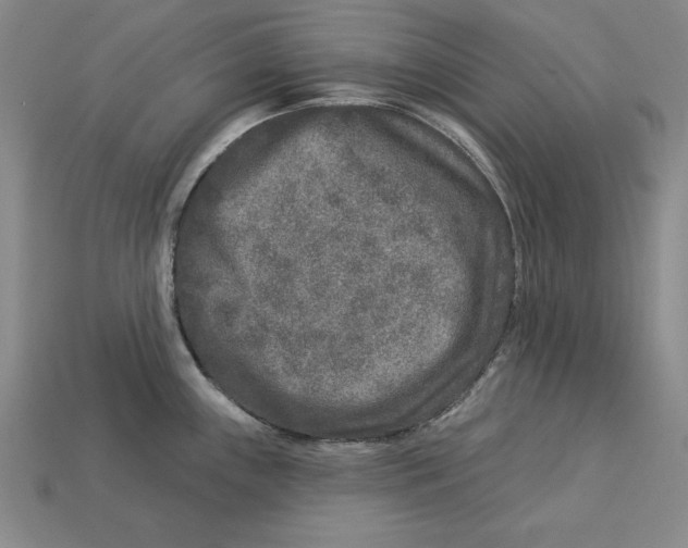 X0000113021243200909241628