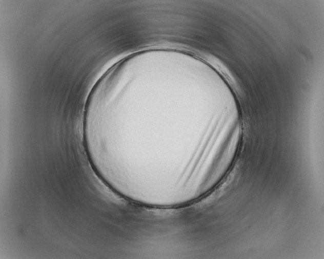 X0000113021244200909241628