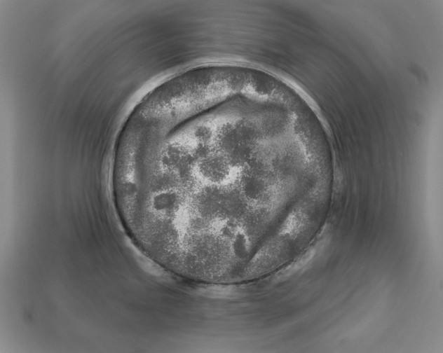 X0000113021245200909241628