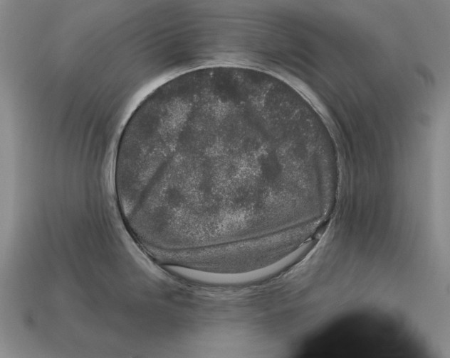 X0000113021246200909241628