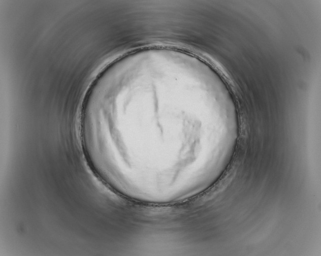 X0000113021247200909241628