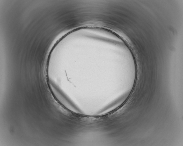 X0000113021248200909241628