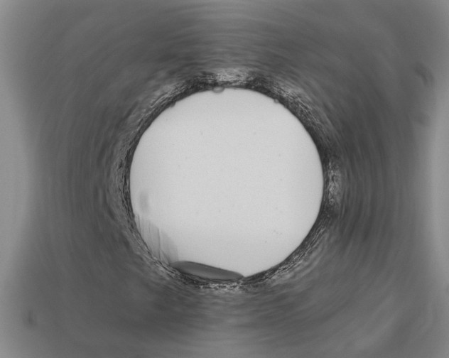 X0000113021249200909241628