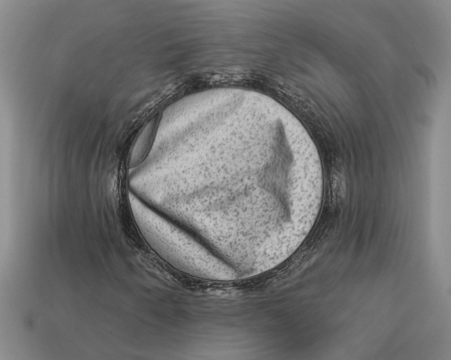 X0000113021250200909241628