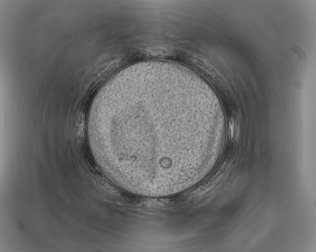 X0000113021251200909241628