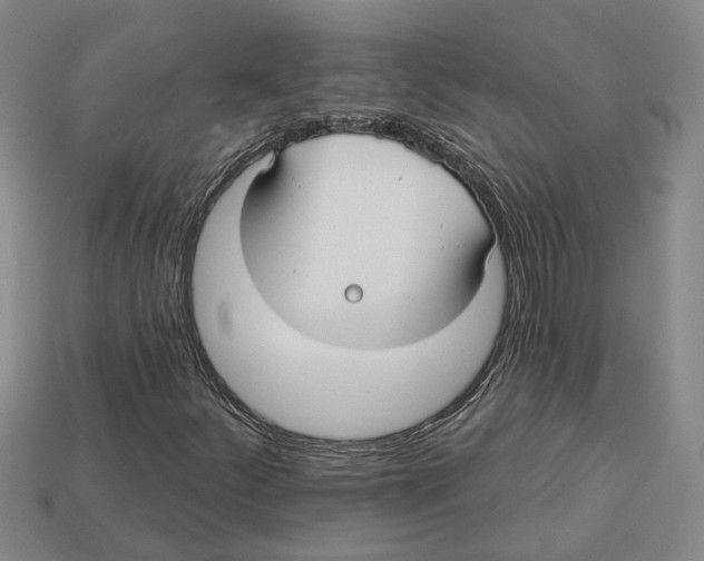 X0000113021252200909241628