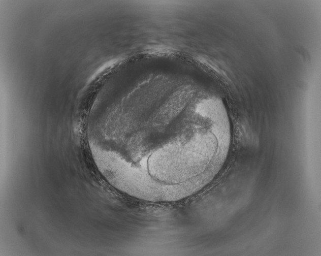 X0000113021254200909241628