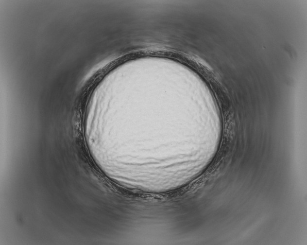 X0000113021255200909241628