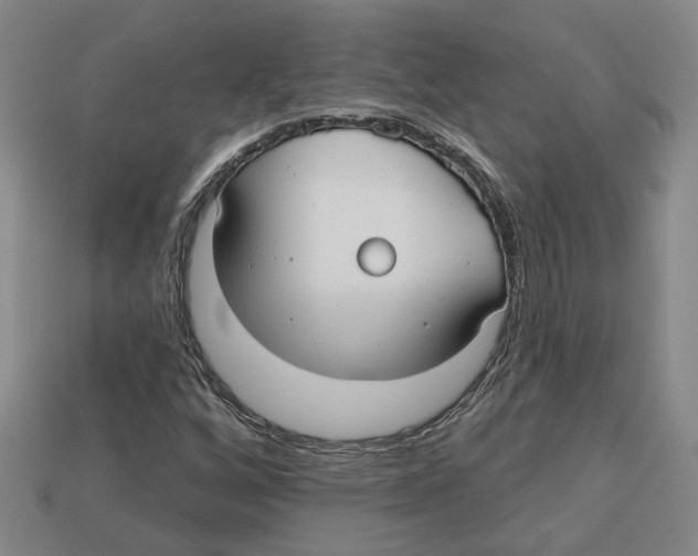 X0000113021256200909241628