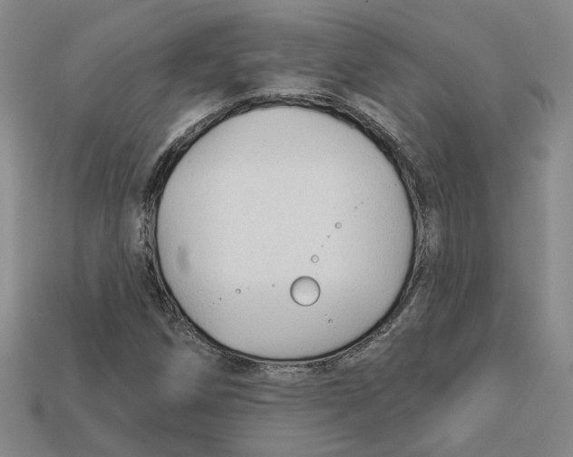 X0000113021258200909241628