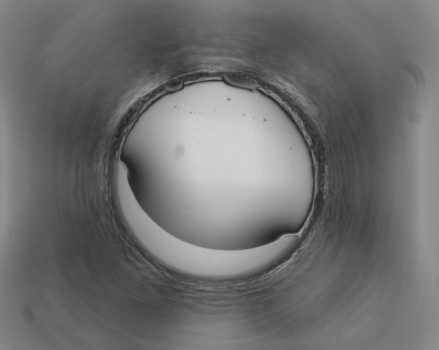 X0000113021261200909241628