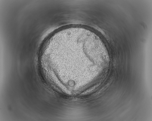 X0000113021263200909241627