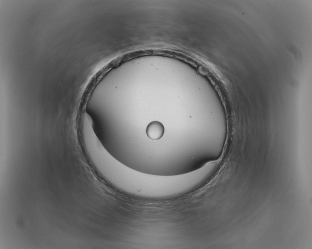 X0000113021264200909241627