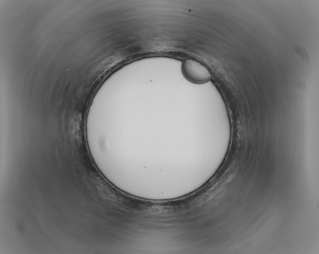 X0000113021265200909241627