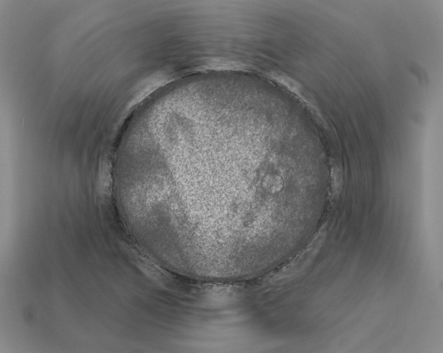 X0000113021266200909241627