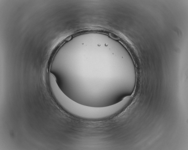 X0000113021269200909241627