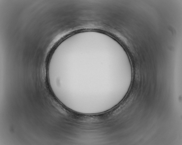 X0000113021270200909241627