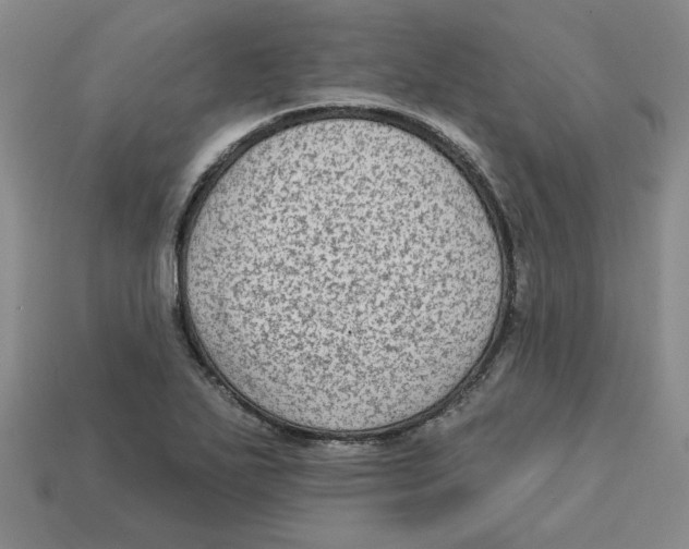 X0000113021271200909241627