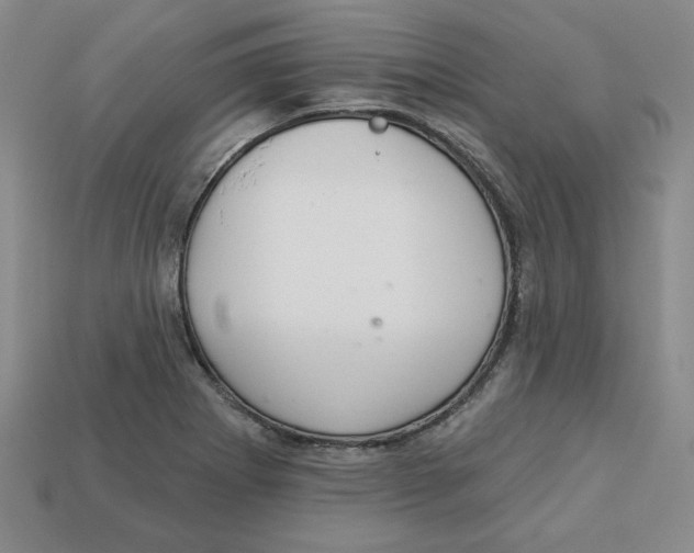 X0000113021273200909241627