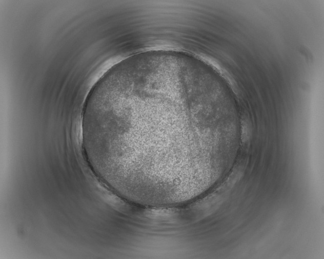 X0000113021274200909241627