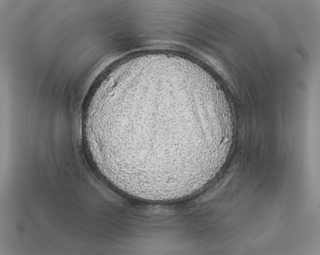 X0000113021275200909241627