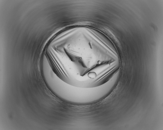 X0000113021276200909241627