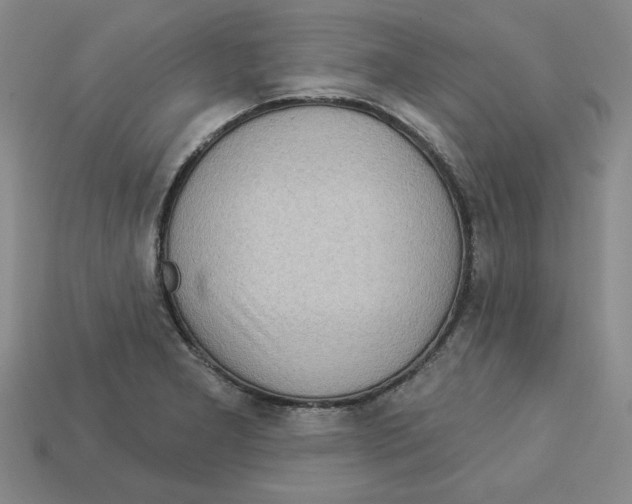 X0000113021277200909241627