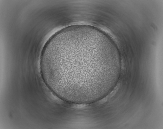 X0000113021278200909241627