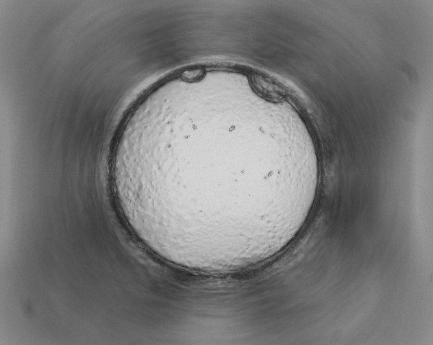 X0000113021279200909241627