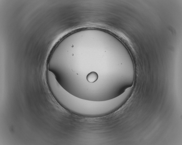 X0000113021280200909241627