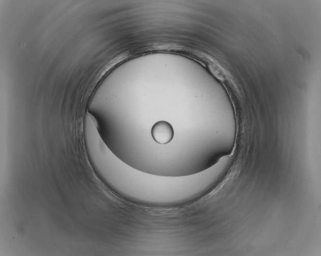 X0000113021281200909241627