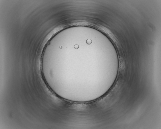 X0000113021282200909241627