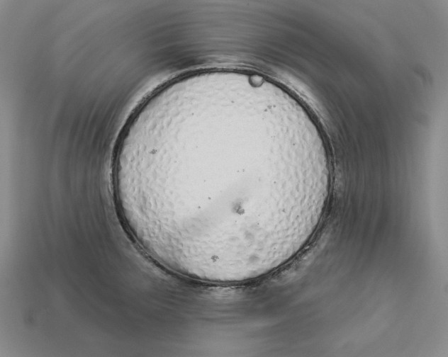 X0000113021283200909241627