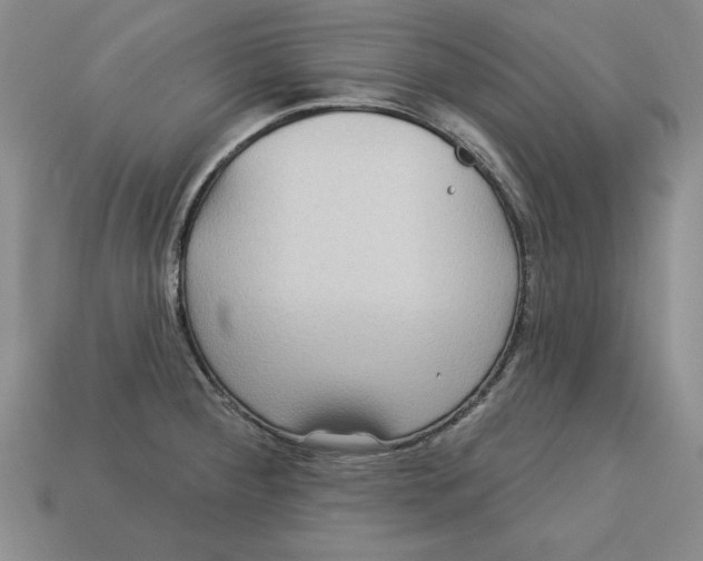 X0000113021284200909241627