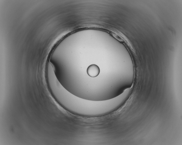 X0000113021285200909241627