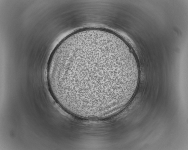 X0000113021287200909241627