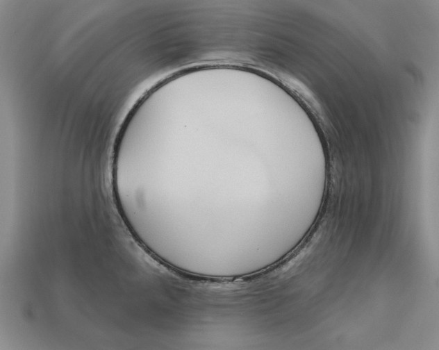 X0000113021288200909241627