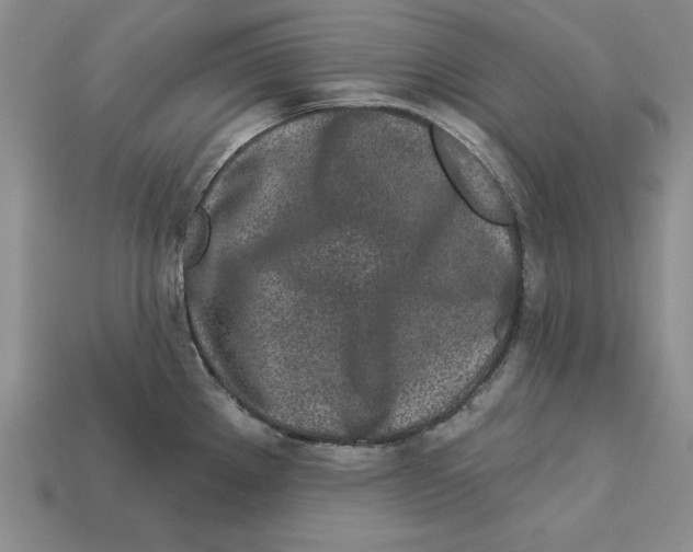 X0000113021289200909241627