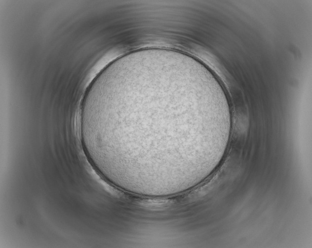 X0000113021290200909241627