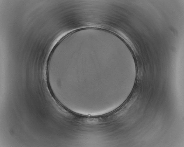 X0000113021291200909241627