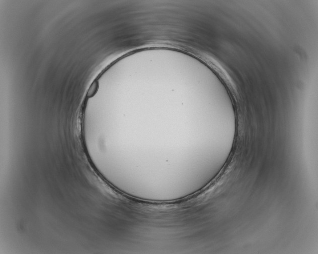 X0000113021292200909241627