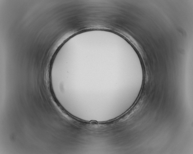 X0000113021293200909241627