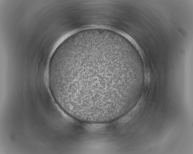 X0000113021294200909241627