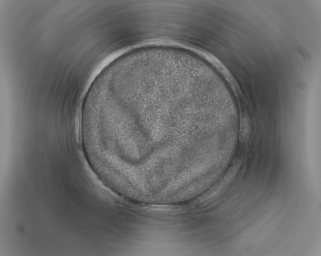 X0000113021295200909241627