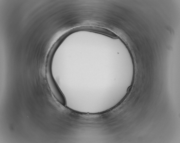 X0000113021296200909241627