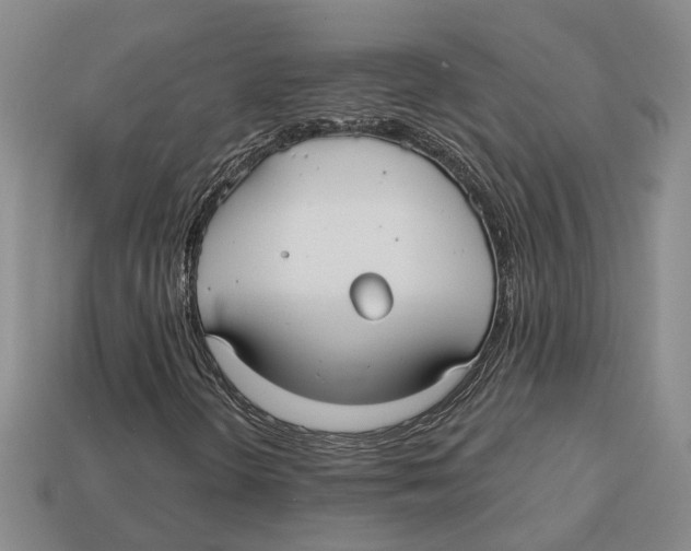 X0000113021298200909241626